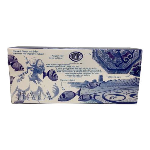 AURORA (オーロラ) Viaggio Segreto バイア 万年筆 888-VNA