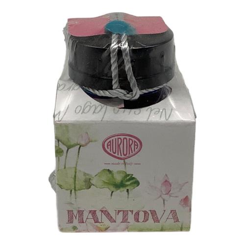 AURORA (オーロラ) Viaggio Segreto マントヴァ 万年筆 888-VMN