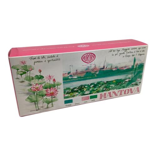 AURORA (オーロラ) Viaggio Segreto マントヴァ 万年筆 888-VMN