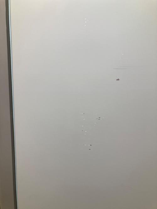 HITACHI (ヒタチ) 6ドア冷蔵庫 R-HW52K 2019年製  520L