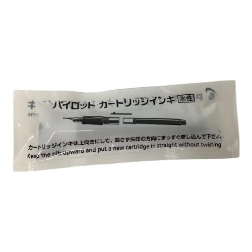 PILOT (パイロット) 万年筆 FCT-15SR-RM デシモ   キャップレス