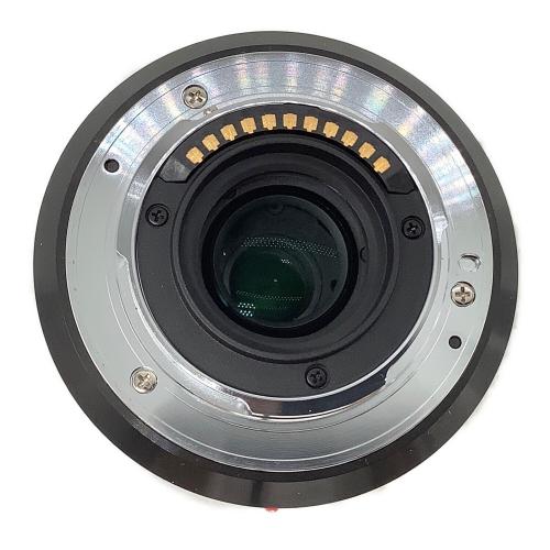 Panasonic (パナソニック) ミラーレス一眼カメラ DMC-GF6