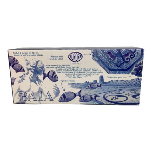 AURORA (オーロラ) 万年筆 888-VNA BAIA DI NAPOLI