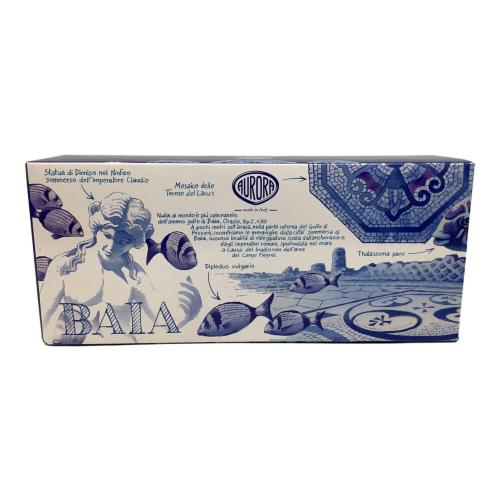 AURORA (アウロラ) 万年筆 888-VNA BAIA DI NAPOLI