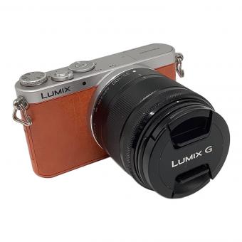 Panasonic (パナソニック) ミラーレス一眼カメラ DMC-GM1