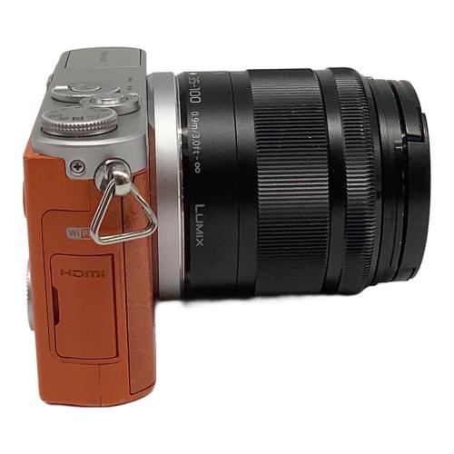 Panasonic (パナソニック) ミラーレス一眼カメラ DMC-GM1