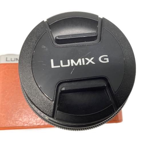 Panasonic (パナソニック) ミラーレス一眼カメラ DMC-GM1