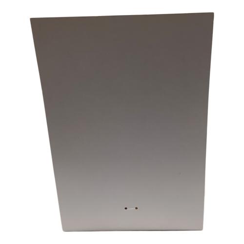 Pokemon Center (ポケモンセンター) ピカチュウ メスのすがた Pokémon Garden Wedding ポケモングッズ