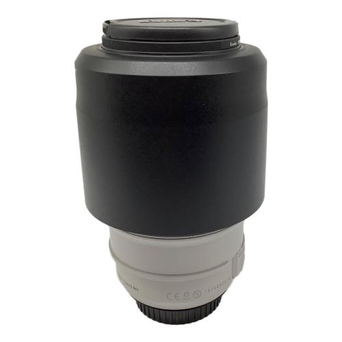 CANON (キヤノン) ズームレンズ EF70-300mm f/4-5.6L IS USM