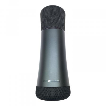 Philips (フィリップス) マイクロホン DLM9317C カラオケ用ワイヤレス