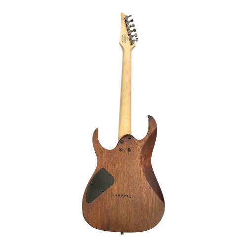 IBANEZ (アイバニーズ) エレキギター RG421S @