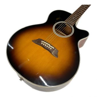 Takamine (タカミネ) エレアコギター pt-106