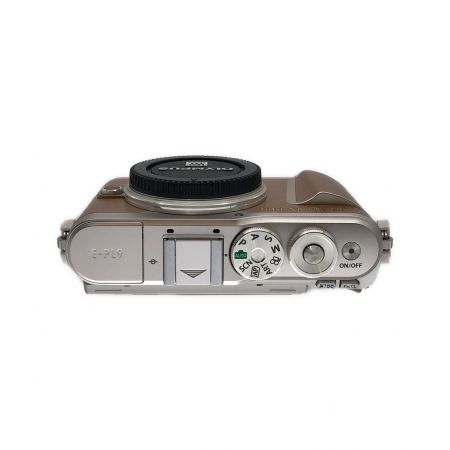 OLYMPUS (オリンパス) ミラーレス一眼カメラ PEN E-PL9 別売りオプションカバー付