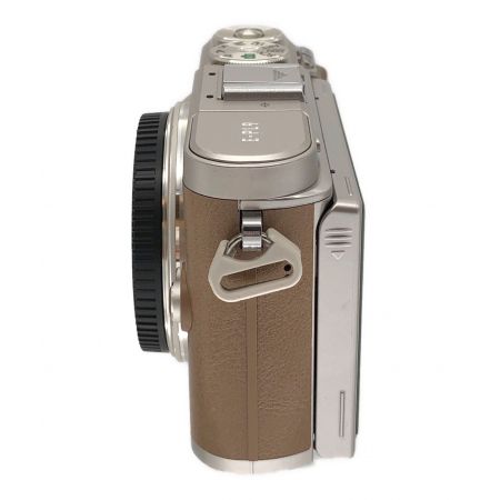 OLYMPUS (オリンパス) ミラーレス一眼カメラ PEN E-PL9 別売りオプションカバー付