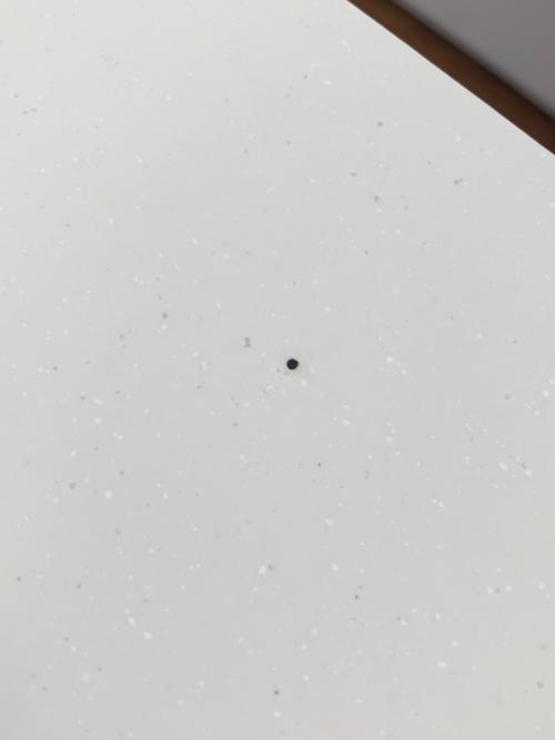 永野家具 チェスト ホワイト 243 引出⑤