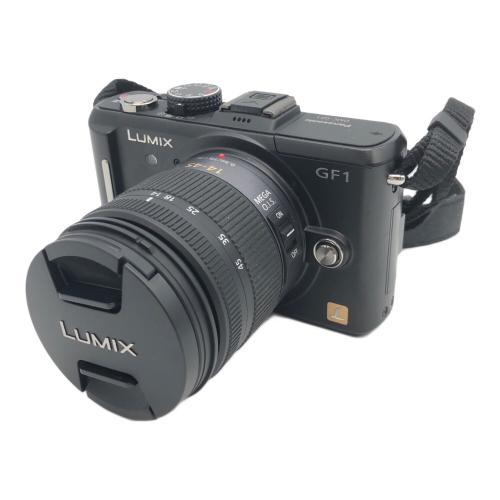 Panasonic (パナソニック) ミラーレス一眼カメラ DMC-GF1