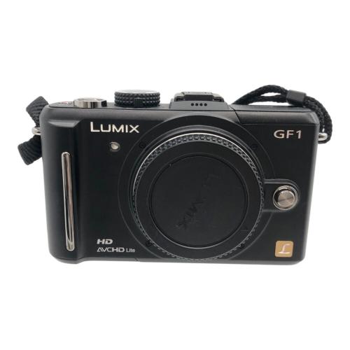 Panasonic (パナソニック) ミラーレス一眼カメラ DMC-GF1