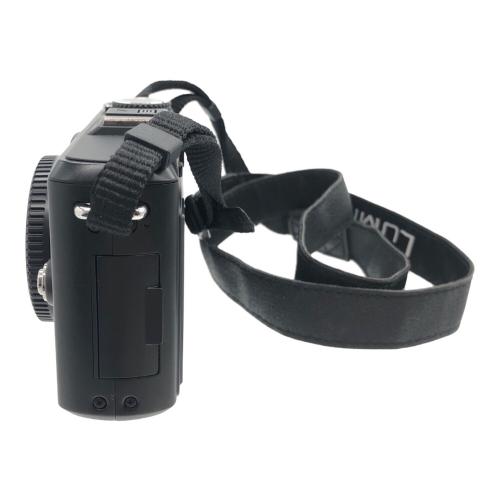 Panasonic (パナソニック) ミラーレス一眼カメラ DMC-GF1