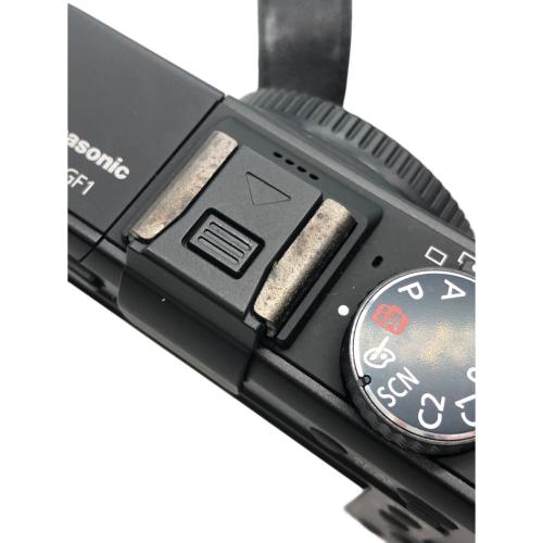 Panasonic (パナソニック) ミラーレス一眼カメラ DMC-GF1