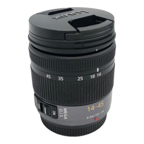 Panasonic (パナソニック) ミラーレス一眼カメラ DMC-GF1