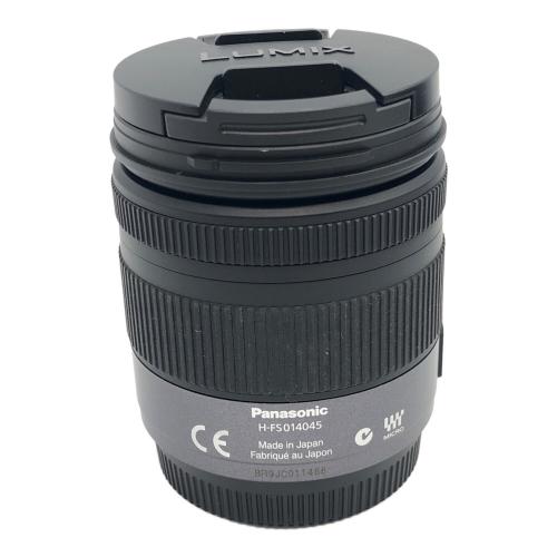 Panasonic (パナソニック) ミラーレス一眼カメラ DMC-GF1