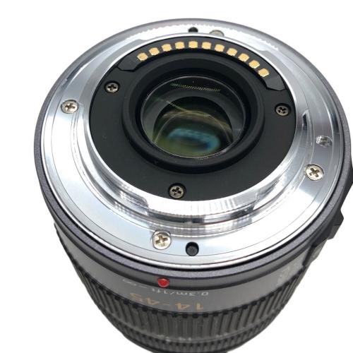 Panasonic (パナソニック) ミラーレス一眼カメラ DMC-GF1