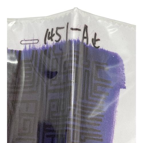 スタジオジブリ ムスカ大佐 サングラス サングラスケース劣化/箱/予約特典金貨付