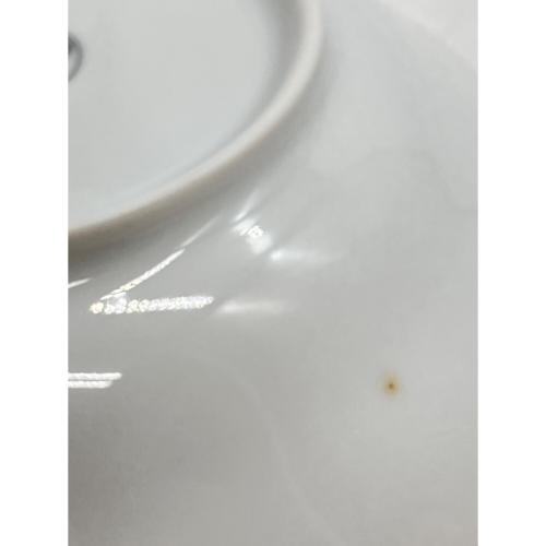 HUTSCHEN REUTHER (フッチェンロイター) カップ&ソーサー 2005限定 ホワイト×グレー