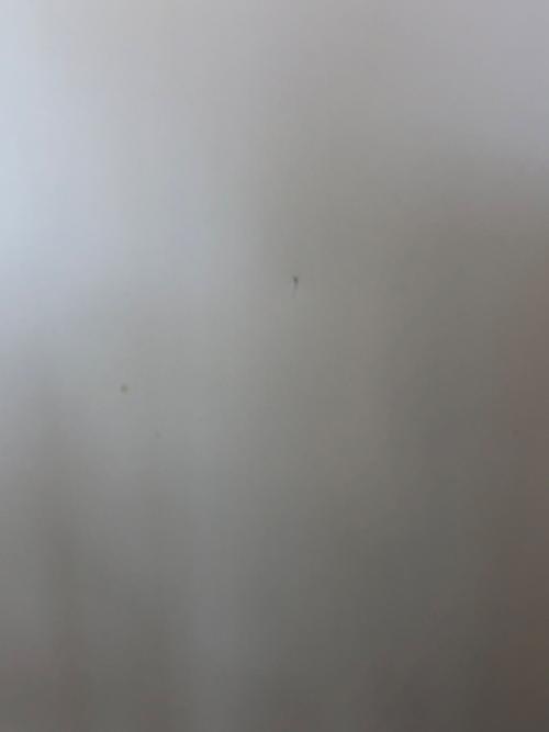 MITSUBISHI (ミツビシ) 5ドア冷蔵庫 MR-MD45K-W 2024年製  451L