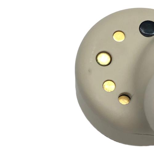 Technics (テクニクス) イヤホン AZ100