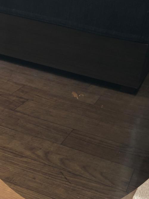 CASSINA (カッシーナ) ウォールミラー デッドラインミラー