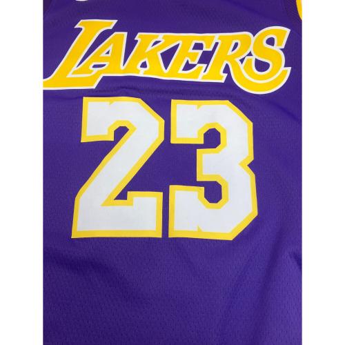 NIKE (ナイキ) レブロンジェームズ 24 ゲームシャツ ロサンゼルス・レイカーズ（ミネアポリス・レイカーズ） メンズ SIZE L パープル
