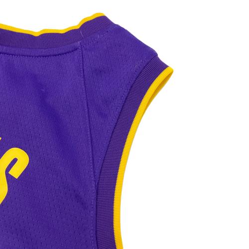 NIKE (ナイキ) レブロンジェームズ 24 ゲームシャツ ロサンゼルス・レイカーズ（ミネアポリス・レイカーズ） メンズ SIZE L パープル