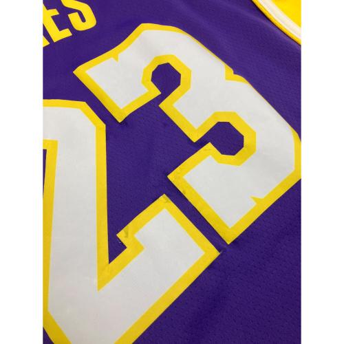 NIKE (ナイキ) レブロンジェームズ 24 ゲームシャツ ロサンゼルス・レイカーズ（ミネアポリス・レイカーズ） メンズ SIZE L パープル