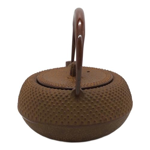 南部鉄器 (ナンブテッキ) 急須