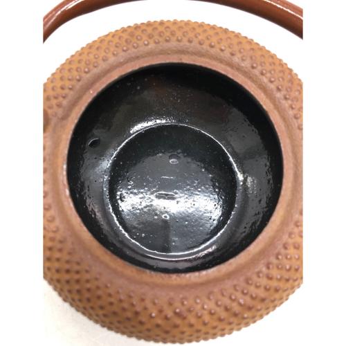 南部鉄器 (ナンブテッキ) 急須
