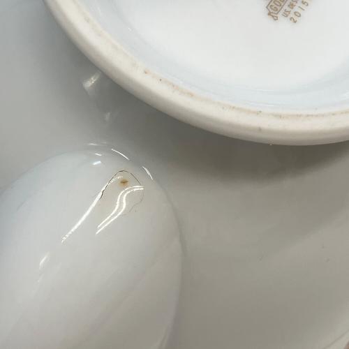 Noritake (ノリタケ) ティーポット ホワイト×レッド ゴールドメア