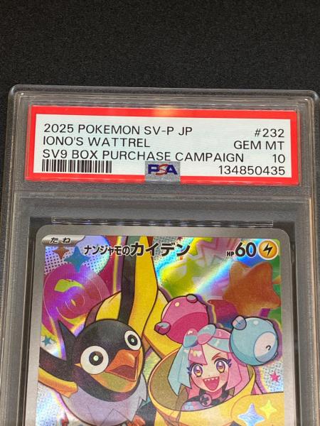ナンジャモのカイデン ポケモンカード 232/SV-P PSA10｜トレファクONLINE
