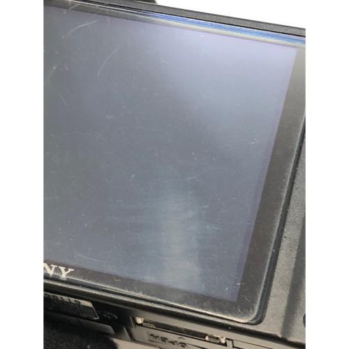 SONY (ソニー) コンパクトデジタルカメラ DSC-WX1