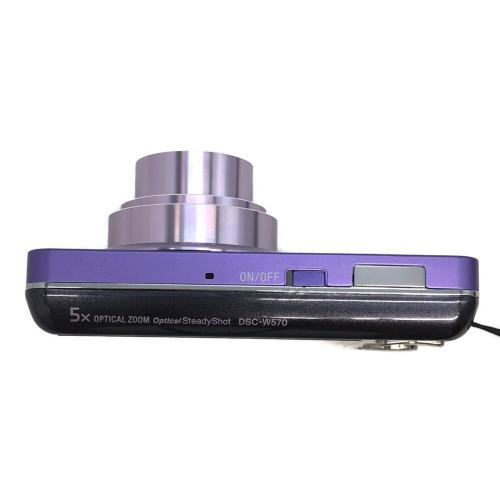SONY (ソニー) コンパクトデジタルカメラ DSC-W570 Cyber-shot