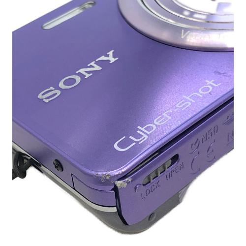 SONY (ソニー) コンパクトデジタルカメラ DSC-W570 Cyber-shot