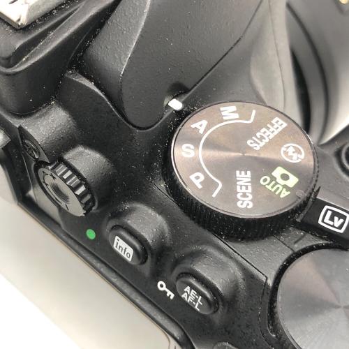 Nikon (ニコン) デジタル一眼レフカメラ D5600