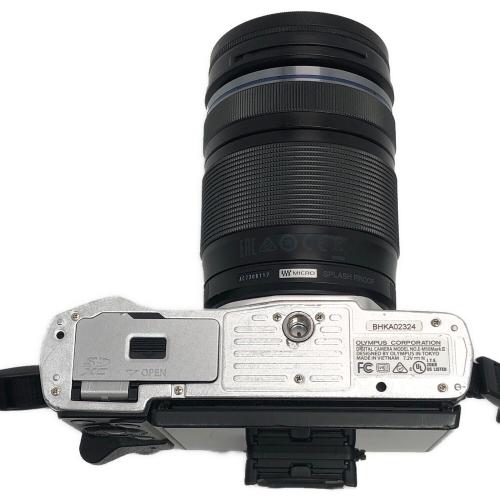OLYMPUS (オリンパス) ミラーレス一眼カメラ OM-D E-M10 Mark II Wズームレンズキット
