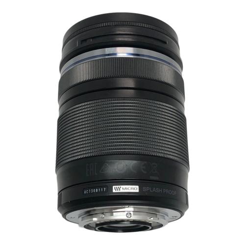 OLYMPUS (オリンパス) ミラーレス一眼カメラ OM-D E-M10 Mark II Wズームレンズキット