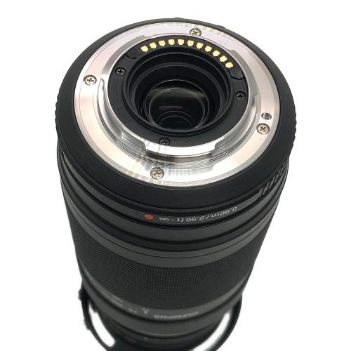 OLYMPUS (オリンパス) ミラーレス一眼カメラ OM-D E-M10 Mark II Wズームレンズキット