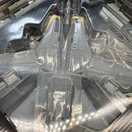 CENTURY WINGS (センチュリーウィングス) F-14 Tomcat 模型
