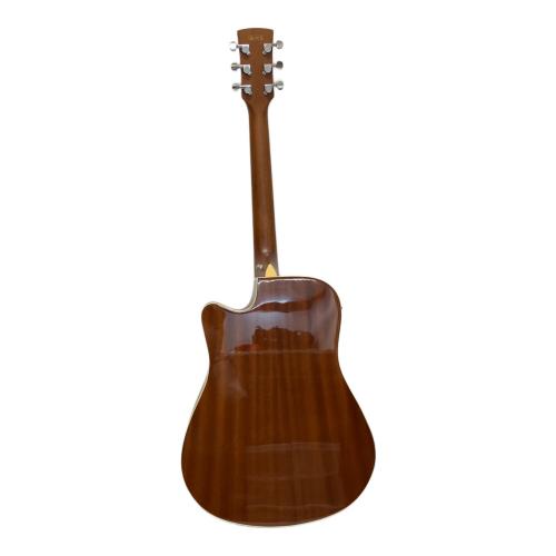 IBANEZ (アイバニーズ) アコースティックギター PF32MHCE-NMH