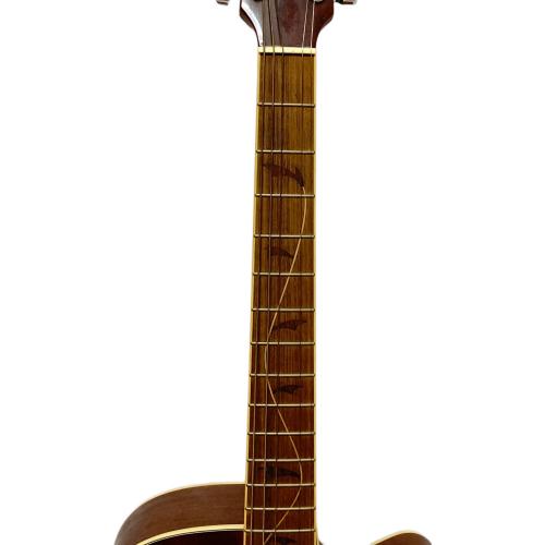 IBANEZ (アイバニーズ) アコースティックギター PF32MHCE-NMH