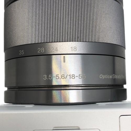 SONY (ソニー) ミラーレス一眼カメラ NEX-F3