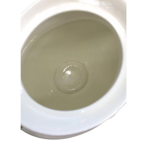 ROYAL DOULTON (ロイヤルドルトン) ティーポット CARLYLE